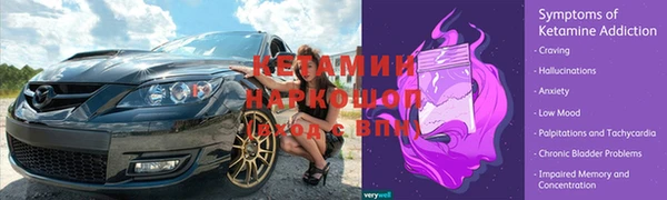 крисы Горняк