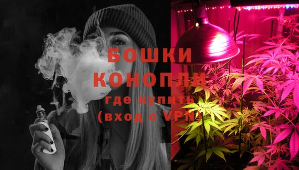 мдпв Горнозаводск