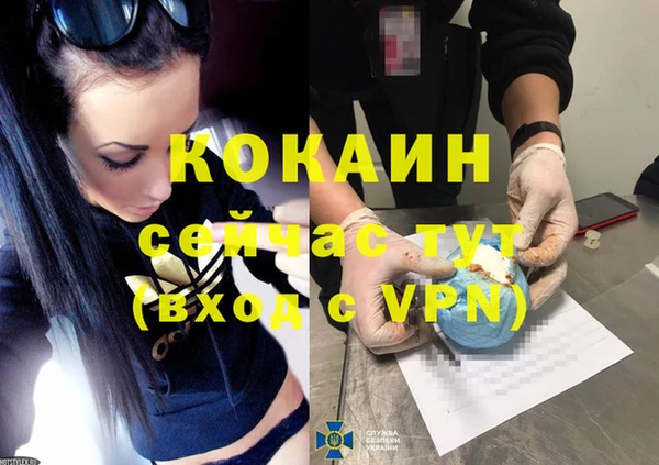 мдпв Горнозаводск