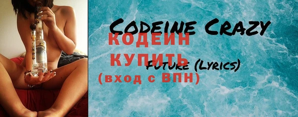 крисы Горняк
