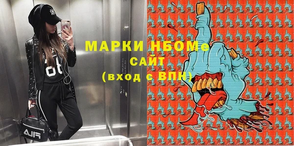 мдпв Горнозаводск