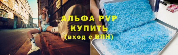 крисы Горняк