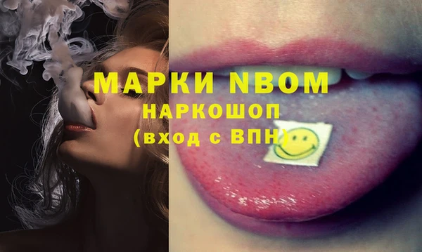 мдпв Горнозаводск