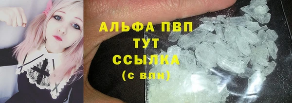 крисы Горняк