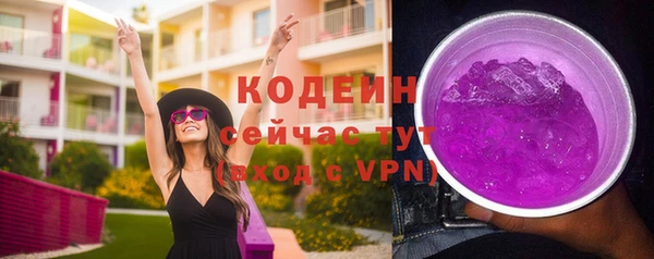 крисы Горняк