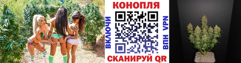 Марихуана гибрид  Купить  Кувшиново 